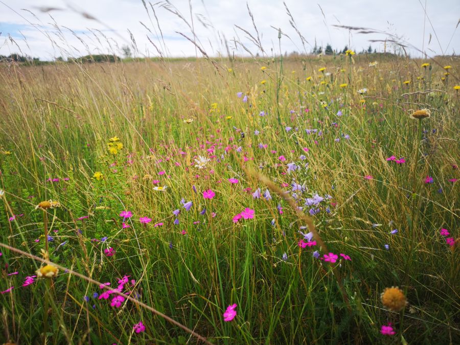 © Naturpark Bayerischer Wald