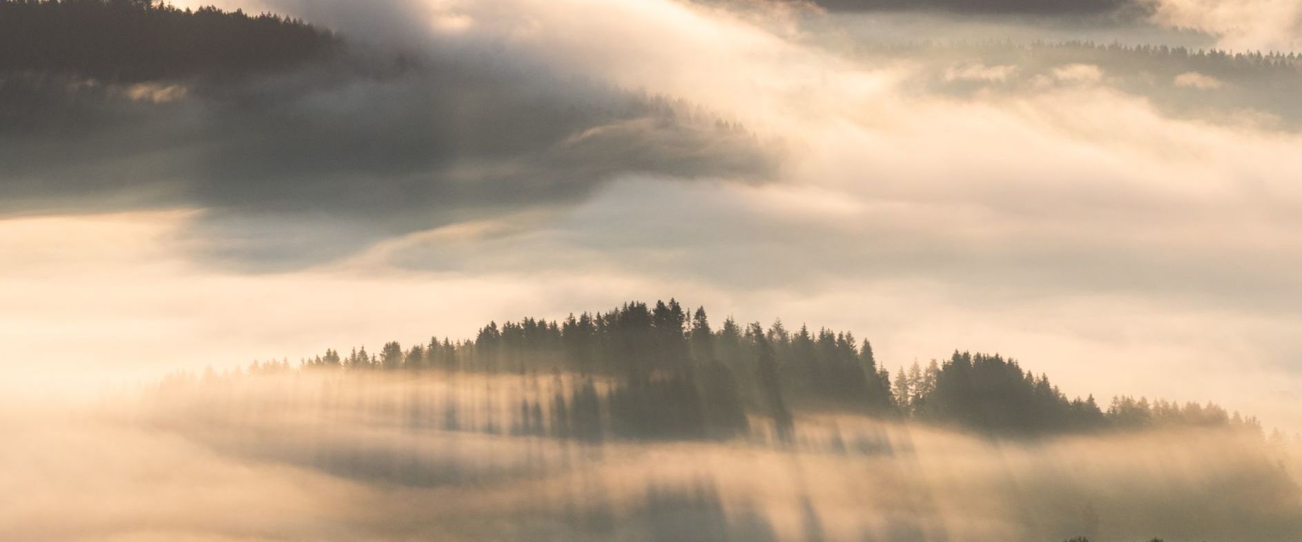 Fritz E. Friesl_Nebelstimmung im Bayerischen Wald