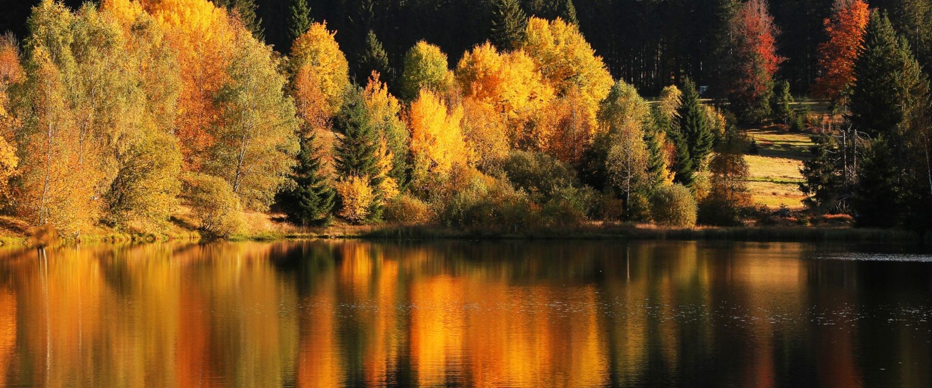 Am Kreuzbachsee bei Haidmühle. Bildautor Dr. Fritz Haselbeck