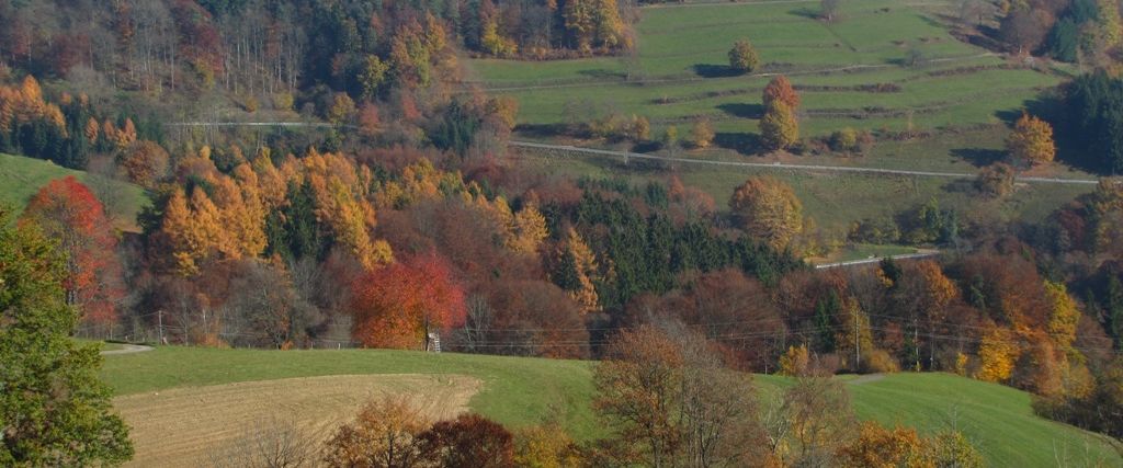 Vorderer Bayerischer Wald