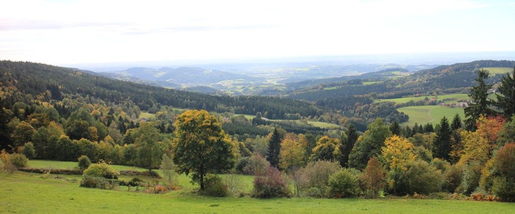 Nature Park Bavarian Forest