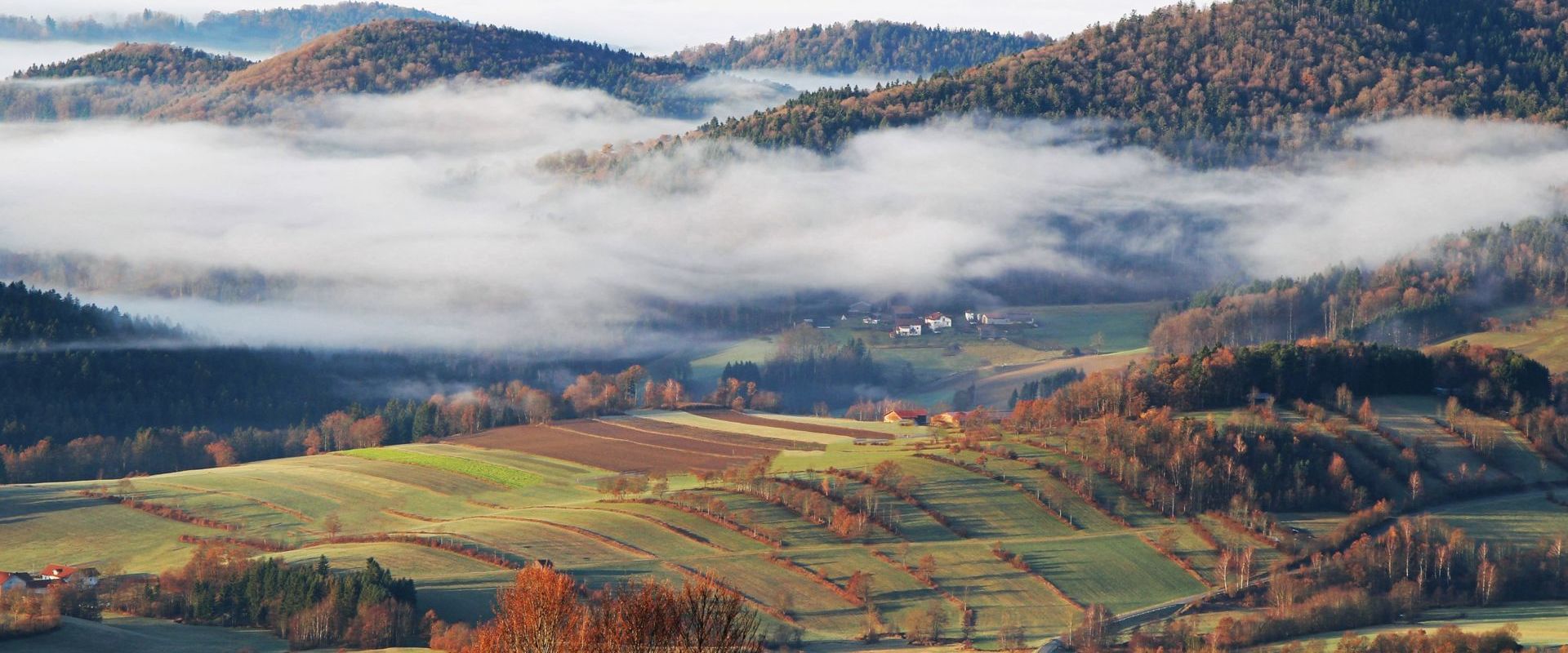 Herbst im Graineter Kessel. Bildautor Dr. Fritz Haselbeck