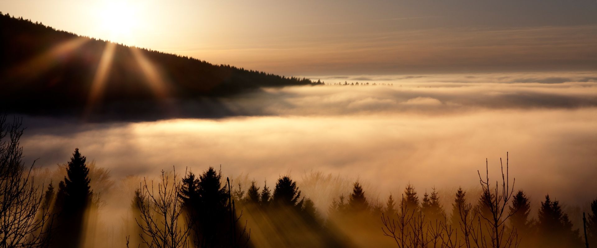 Sonnenuntergang über dem Herbstnebel. Bildautor Stefan Plöchinger